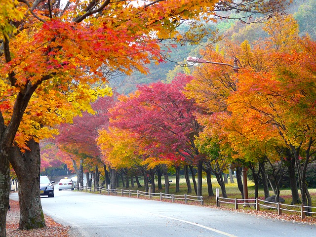 Beauty and Uniqueness of the Autumn Season